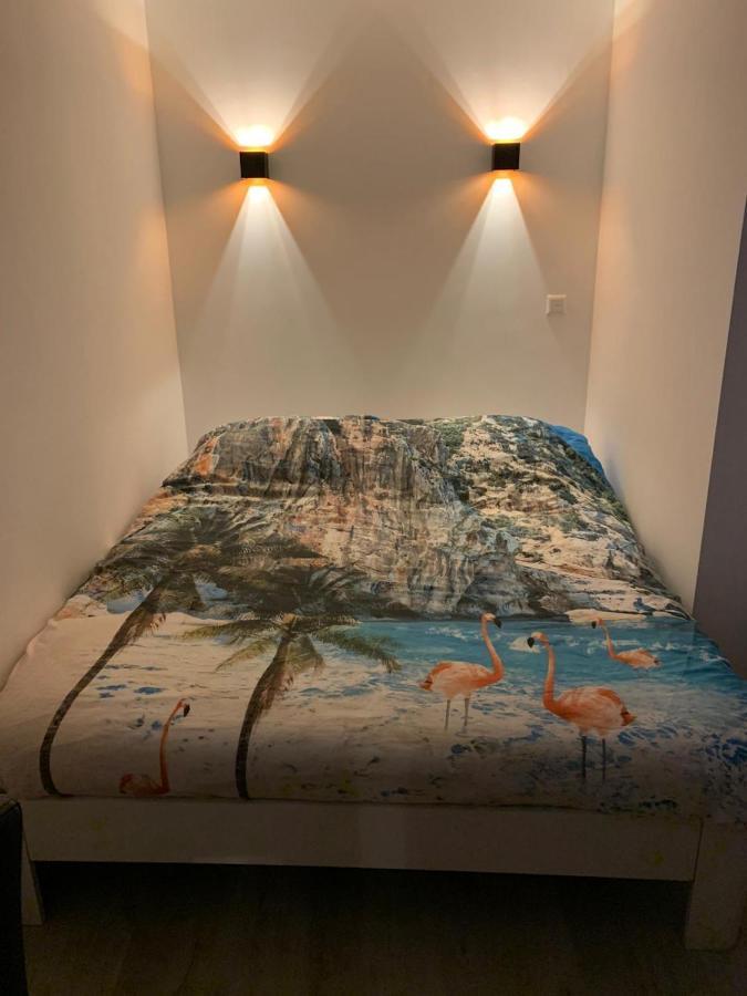 Blissiebeachhouse Zandvoort Dış mekan fotoğraf